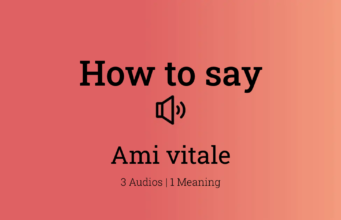 Percakapan Saya dengan Ami Vitale yang luar biasa