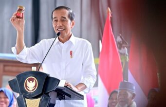 Nama Kemasan Kreatif, Produk Nasabah PNM Mekaar Jadi Guyonan Jokowi