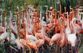 Revolusi 2/9/2024: Saat Kapitalisme Menelanjangi Dunia