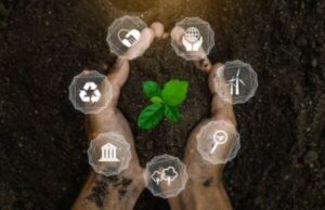 Bursa Karbon Indonesia Terbesar di ASEAN