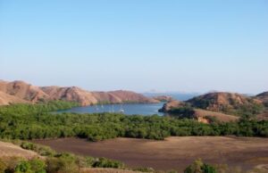 7 Wisata Pulau Komodo, Fasilitas dan Daya Tarik yang Eksotis