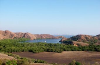 7 Wisata Pulau Komodo, Fasilitas dan Daya Tarik yang Eksotis