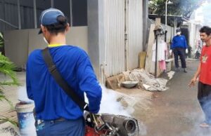 Kasus DBD di Purwakarta Meningkat Tajam