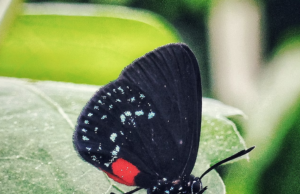 Tautan 27/3/2024 | kapitalisme telanjang