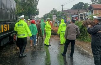Cuaca Ekstrem, Sejumlah Rumah di Padang Tertimpa Pohon