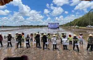 Kebut OPLAH demi Amankan Pangan Nasional, Petani Senang Kementan pun Tenang