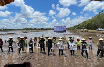 Kebut OPLAH demi Amankan Pangan Nasional, Petani Senang Kementan pun Tenang