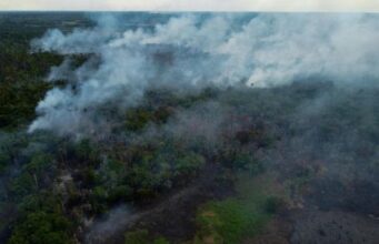 Duh, Dunia Kehilangan Hutan Tropis Seukuran 10 Lapangan Sepak bola Setiap Menit