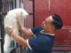 Jelang Lebaran, Rumah Penitipan Kucing Laris Manis Banjir Pesanan