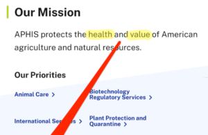 Will Human-to-Human Bird Flu (H5N1) Be the Long-Awaited “Disease X?”