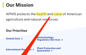Will Human-to-Human Bird Flu (H5N1) Be the Long-Awaited “Disease X?”