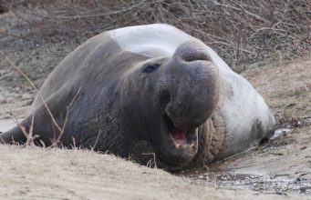 Tautan 18/04/2024 | kapitalisme telanjang