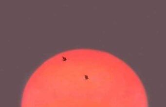 Tautan 5/4/2024 | kapitalisme telanjang