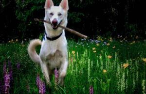 Tautan 07/04/2024 | kapitalisme telanjang