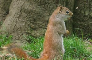 Tautan 14/5/2024 | kapitalisme telanjang