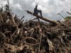 Longsor Papua Nugini, Medan Berat dan Terpencil Hambat Distribusi Bantuan