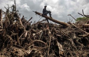 Longsor Papua Nugini, Medan Berat dan Terpencil Hambat Distribusi Bantuan