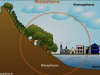 Apa Itu Biosfer Simak Pengertian, Fakta, Faktor, Serta Manfaatnya di Bumi