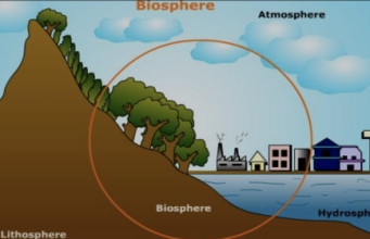 Apa Itu Biosfer Simak Pengertian, Fakta, Faktor, Serta Manfaatnya di Bumi