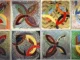 Frank Stella, RIP – REVOLUSI Marginal