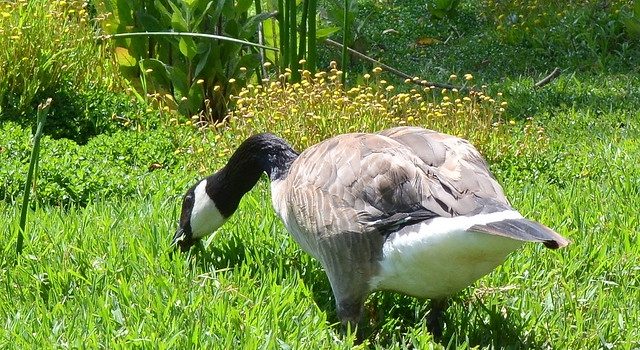 Tautan 15/6/2024 | kapitalisme telanjang