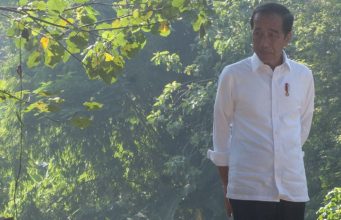 Jokowi Ulang Tahun, Apa Ada Perayaan