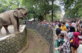 Taman Margasatwa Ragunan Tetap Buka, Ini Daftar Destinasi Wisata saat Libur Idul Adha