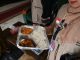 DPR RI Soroti Insiden Makanan Basi bagi Jemaah Haji