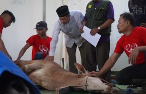 Rumah Amal Salman Targetkan Lebih dari 100 Ribu Orang Terima Manfaat Kurban