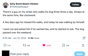 2:00PM Water Cooler 6/17/2024 | naked capitalism