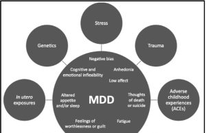 Updates: Concept Anchoring in Biomedical Science and Its Resolution