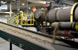 Will Burying Biomass Underground Curb Climate Change?