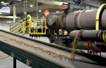 Will Burying Biomass Underground Curb Climate Change?