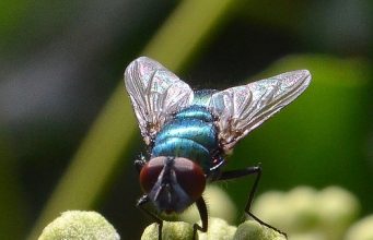 Tautan 13/7/2024 | kapitalisme telanjang