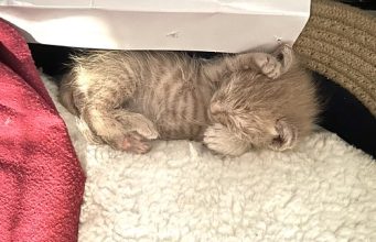 Tautan 20/7/2024 | kapitalisme telanjang