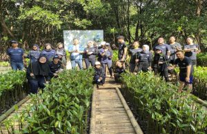 PNM Tanam 50.000 Pohon Mangrove untuk Cegah Bencana Pesisir