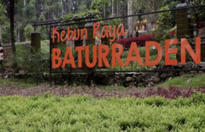 Mengembangkan Pariwisata Banyumas, Strategi Branding dan Peran Media Sosial Jadi Solusi