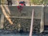 Terjun ke Kali Sunter saat Kejar Kucing, Anjing Poodle Dievakuasi Damkar