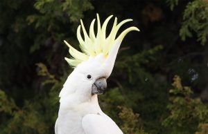 Tautan 24/7/2024 | kapitalisme telanjang