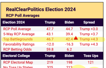 2:00PM Water Cooler 7/22/2024 | naked capitalism