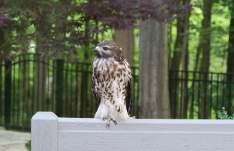 Tautan 3/8/2024 | kapitalisme telanjang