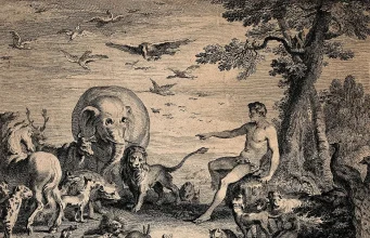 Who Invented Syntax? | naked capitalism