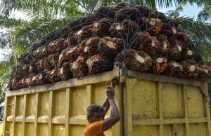 GAPKI Berharap Pemerintah Tingkatkan Kelas Jalan