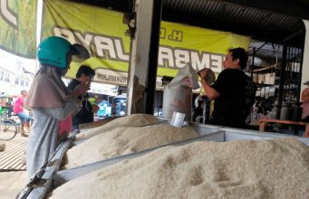 Soal Demurrage Impor, 1.600 Kontainer Isi Beras Harus Diaudit