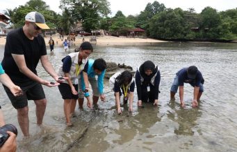Mahasiswa UGM Konservasi Penyu dan Mangrove di Pulau Bunaken