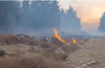 Dukung Palestina, Hizbullah Tembakkan 30 Roket ke Israel