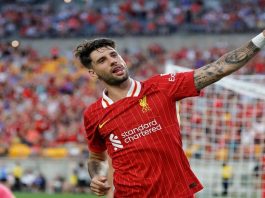 Dominik Szoboszlai Minta Liverpool Belajar dari Laga Kontra Ipswich Town