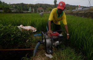 Kekeringan di Depan Mata, Pompanisasi di Sumatra Selatan Dipercepat