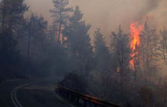 5 Ribu Hektare Hutan di Pulau Tujuan Wisata Portugal Terbakar