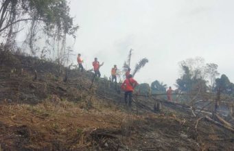 Luas Karhutla Meningkat 13,58 Dibanding Tahun 2023